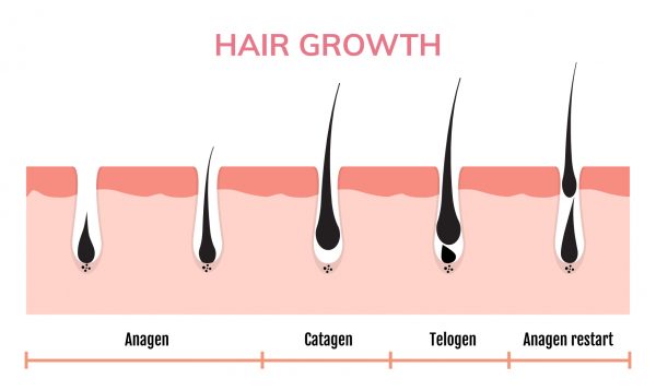 hair growth during pregnancy